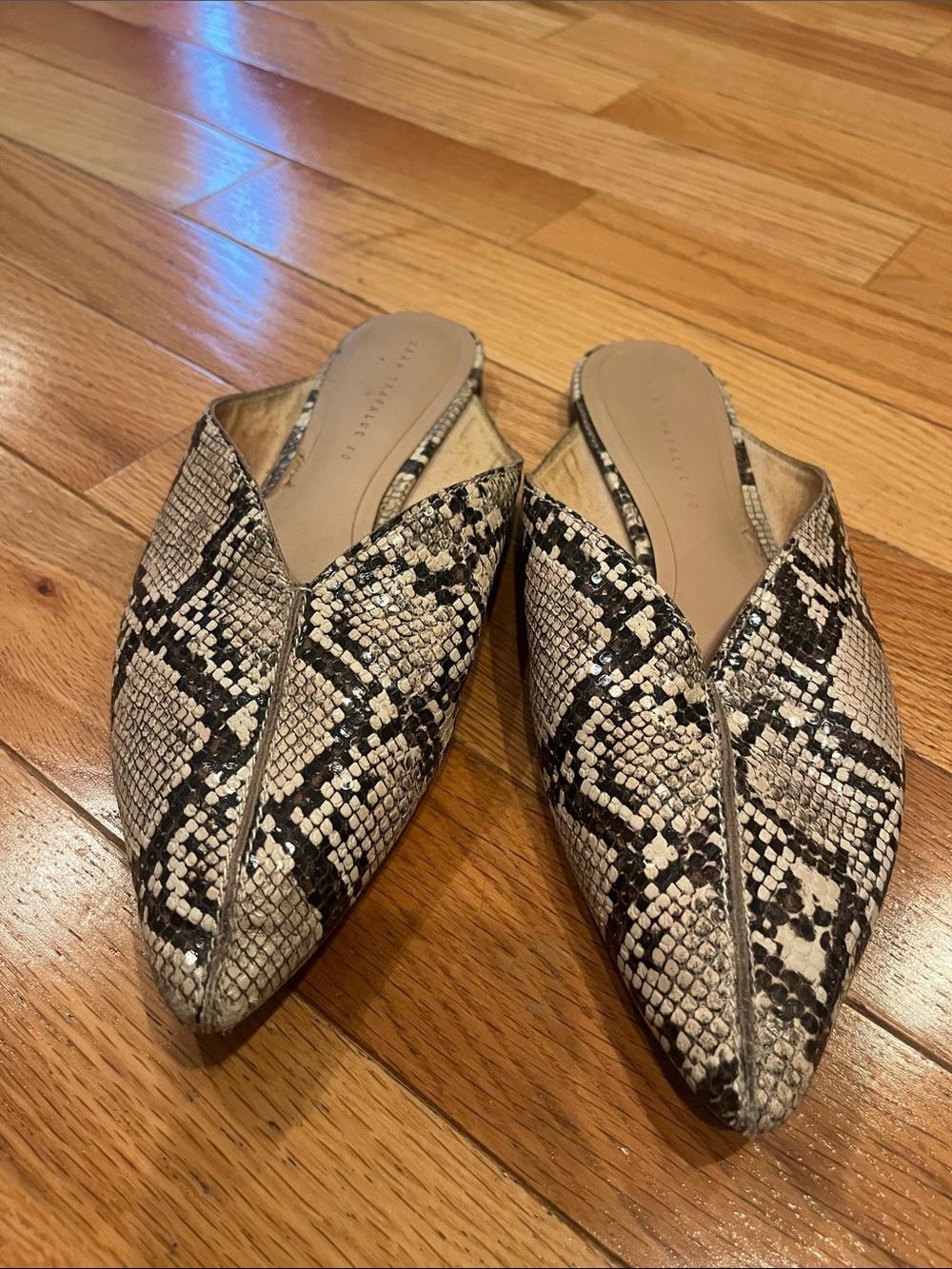 Zara Pointed Snake-Print Slip-On Mules in Black & Cream